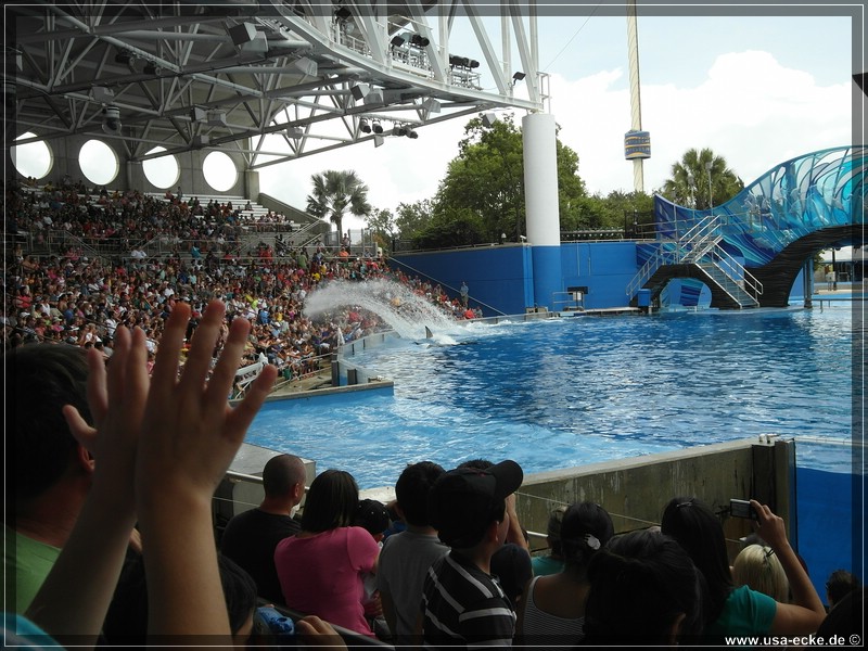 sea_world_2012_019