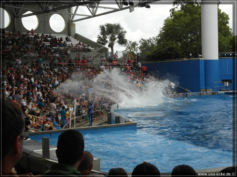 sea_world_2012_020