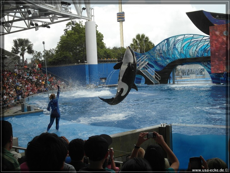 sea_world_2012_021