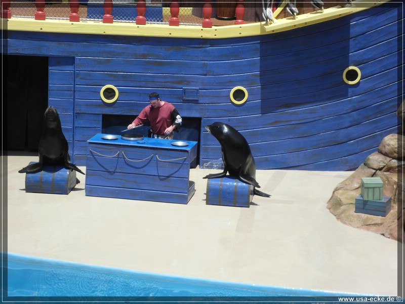 sea_world_2012_026