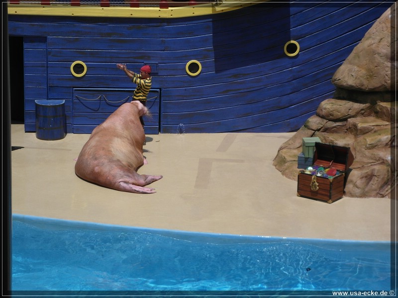 sea_world_2012_027