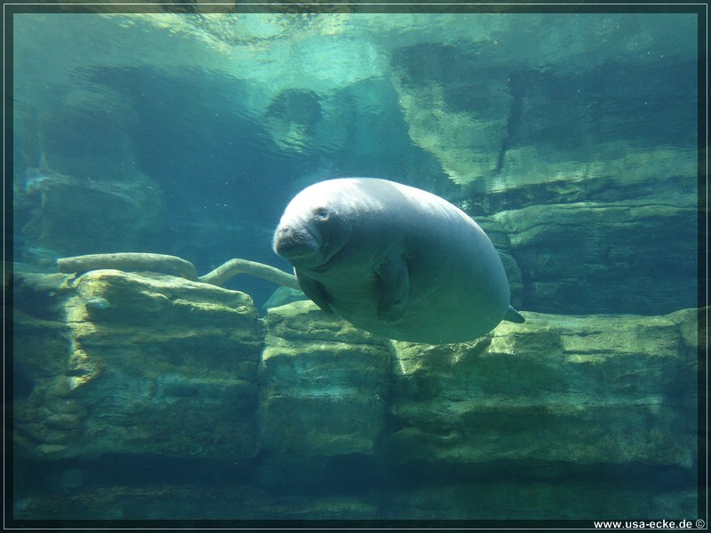 sea_world_2012_032