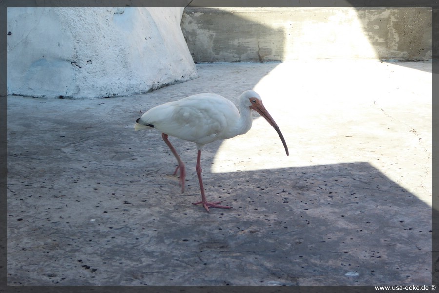 SeaWorld2018_032