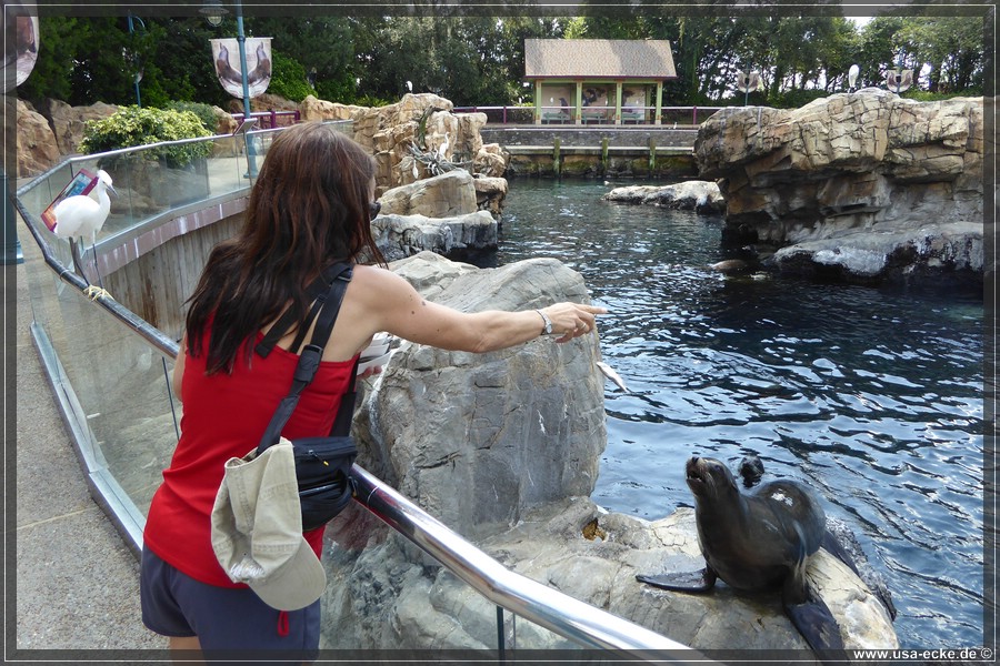 SeaWorld2018_038