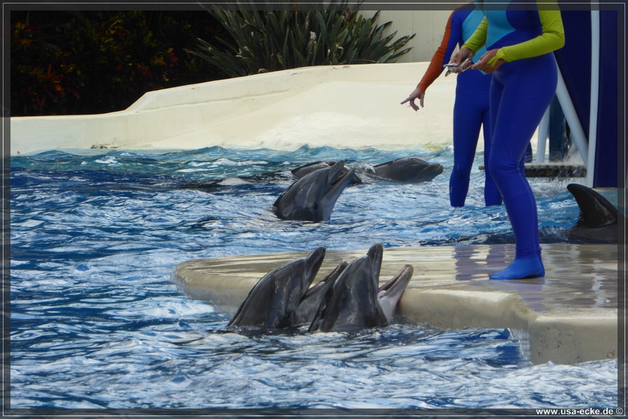 SeaWorld2018_059