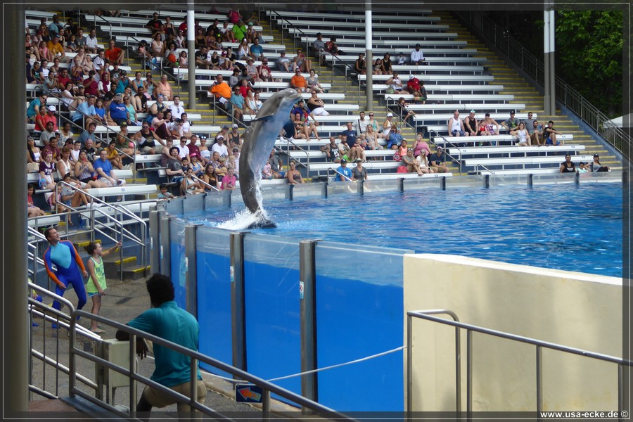 SeaWorld2018_061