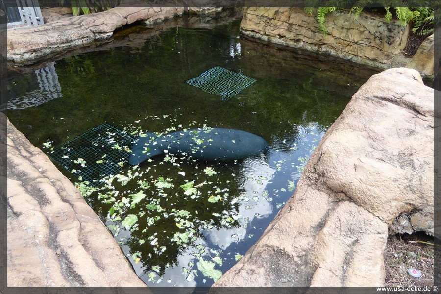 SeaWorld2018_063