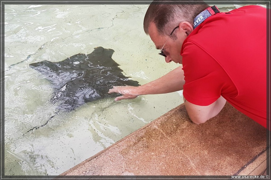 SeaWorld2018_083