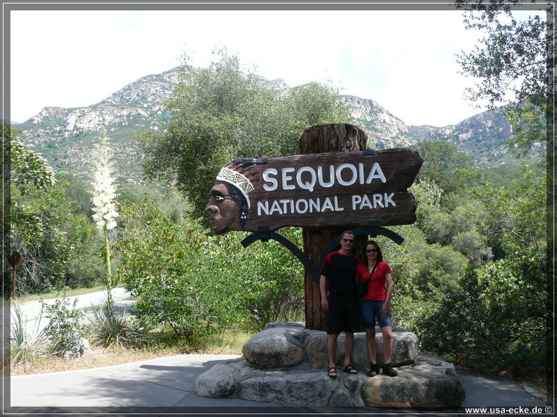 Sequoia2011_002