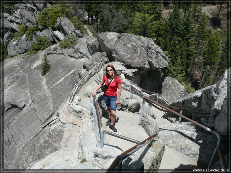 Sequoia2011_017