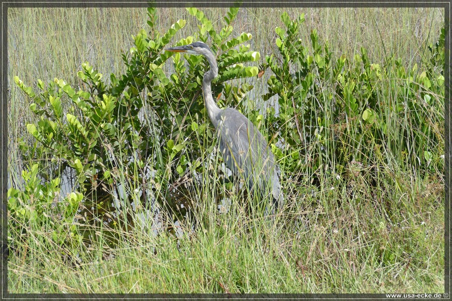 sharkvalley16_011
