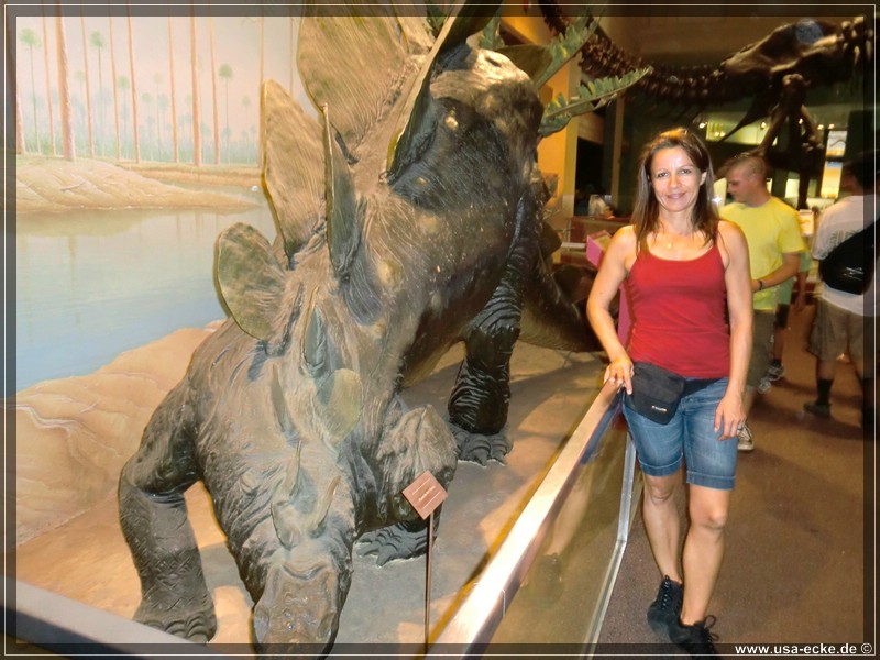 smithsonian_07