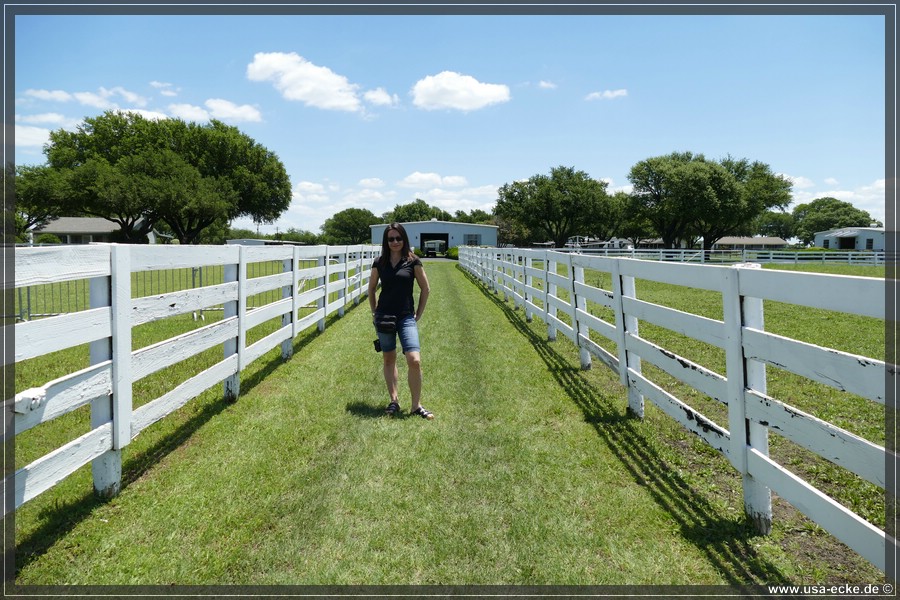 Southfork_038