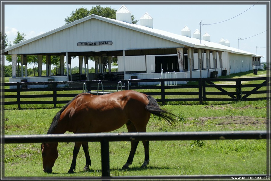 Southfork_043