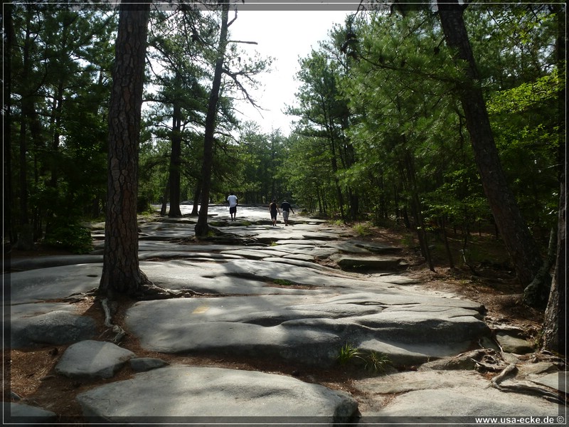 stone_mountain2013_017