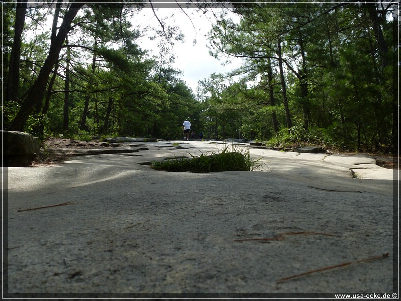 stone_mountain2013_019