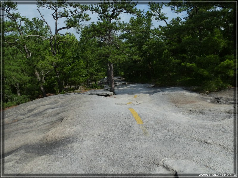 stone_mountain2013_020