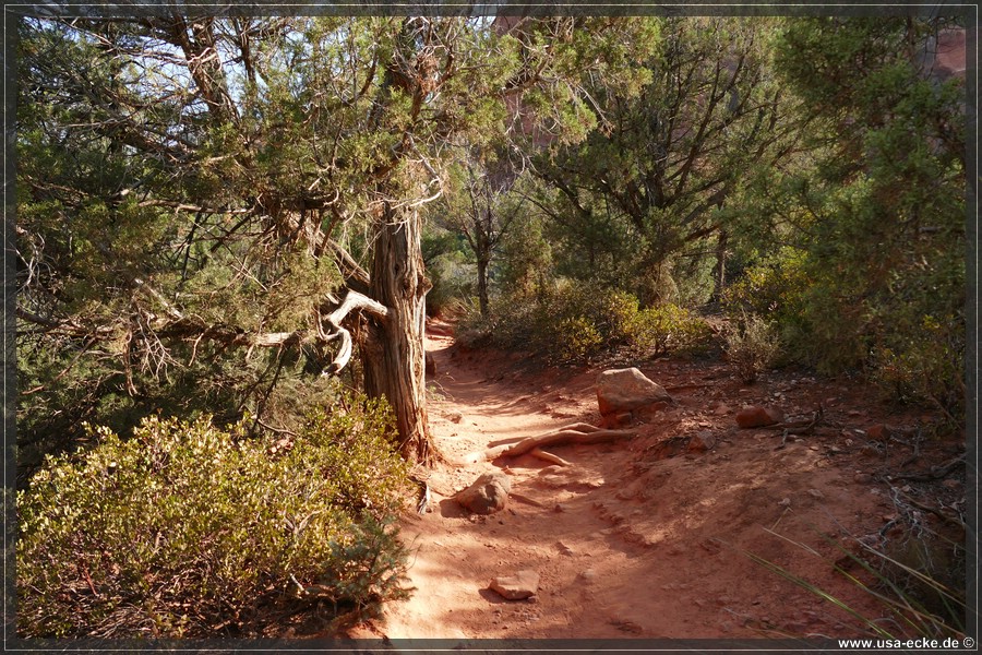 SubwayCave_2025_003