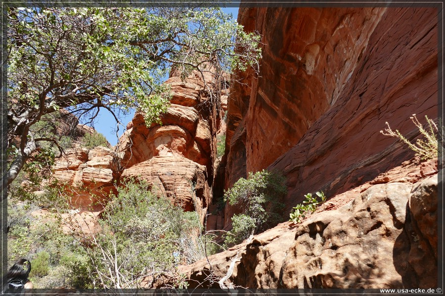 SubwayCave_2025_021
