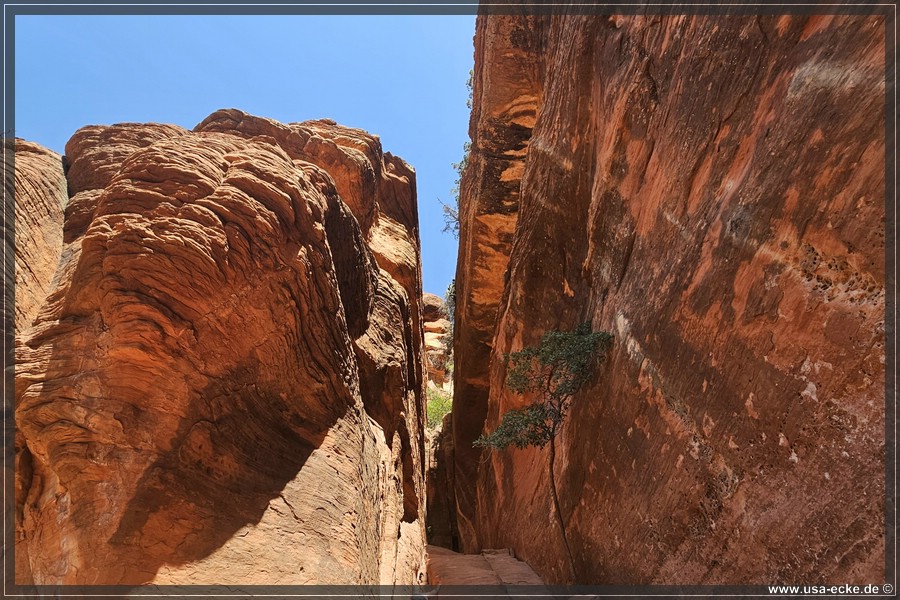 SubwayCave_2025_023