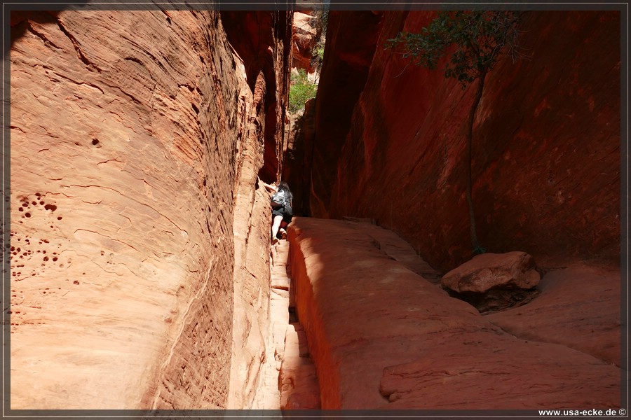 SubwayCave_2025_024
