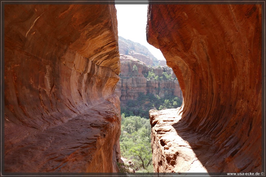 SubwayCave_2025_030