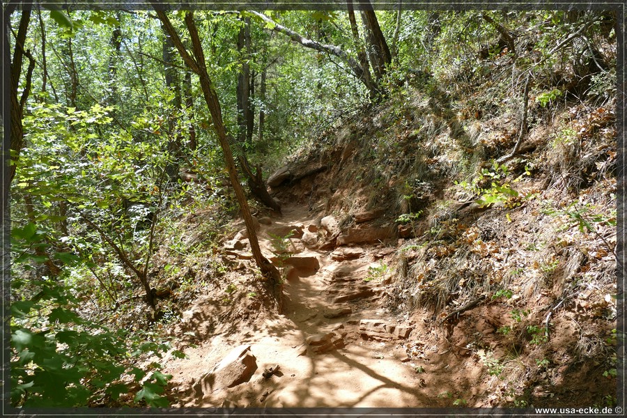 SubwayCave_2025_052