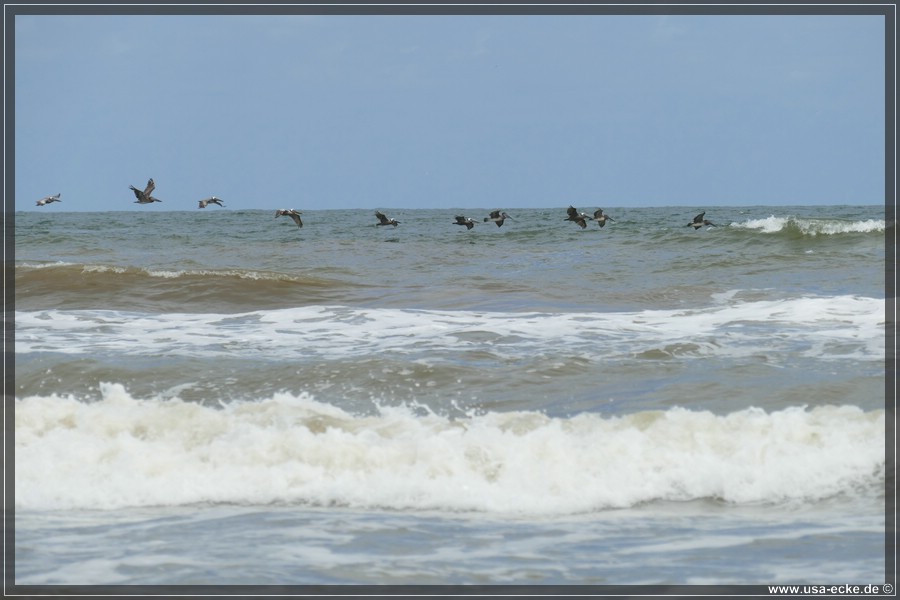 surfside_016