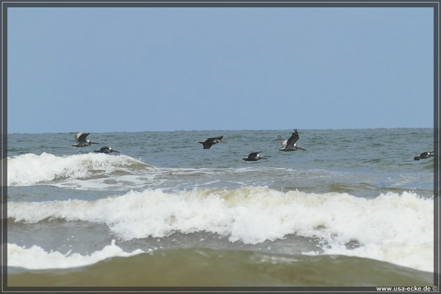 surfside_020