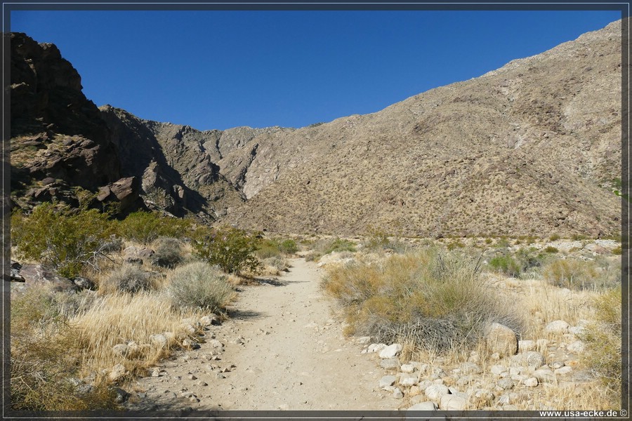 Tahquitz_Canyon_2024_004