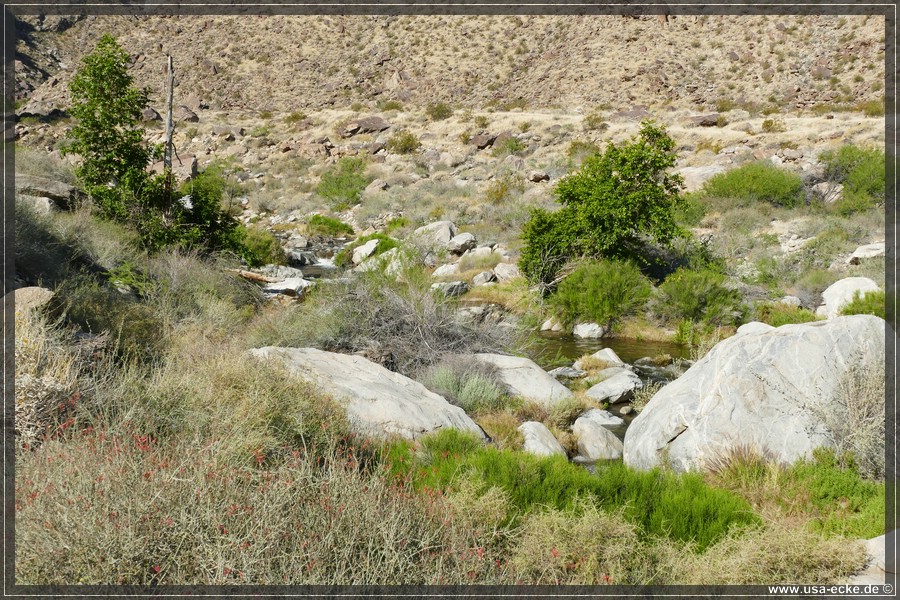 Tahquitz_Canyon_2024_006