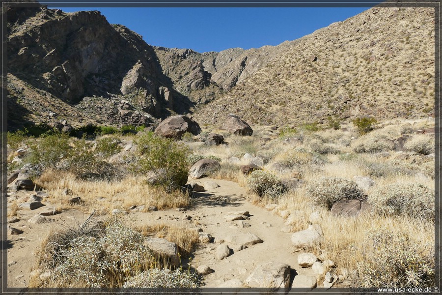 Tahquitz_Canyon_2024_010