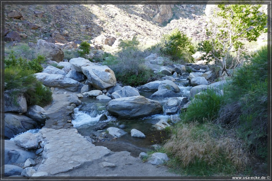 Tahquitz_Canyon_2024_013