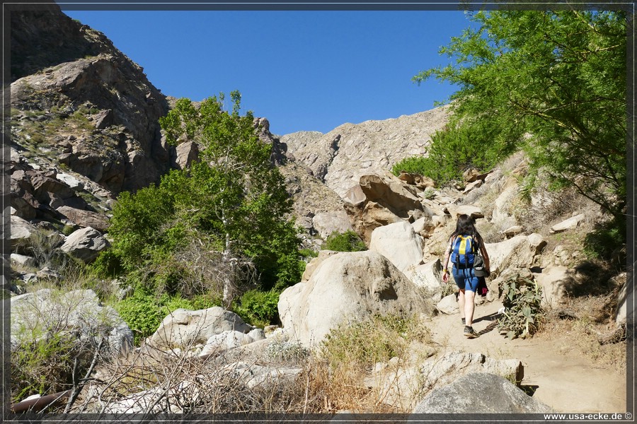 Tahquitz_Canyon_2024_016