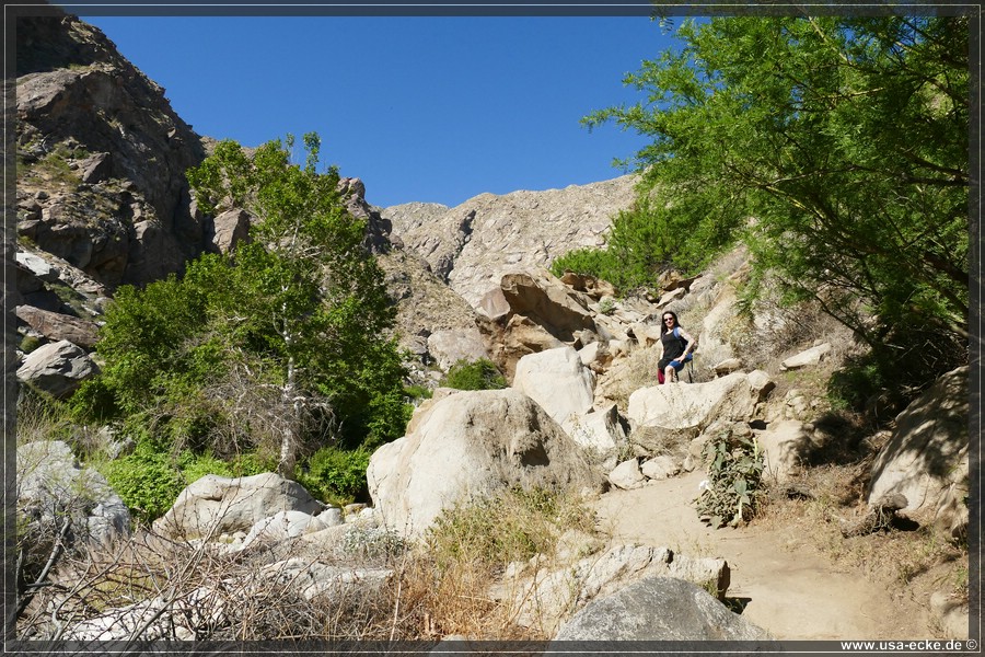 Tahquitz_Canyon_2024_017