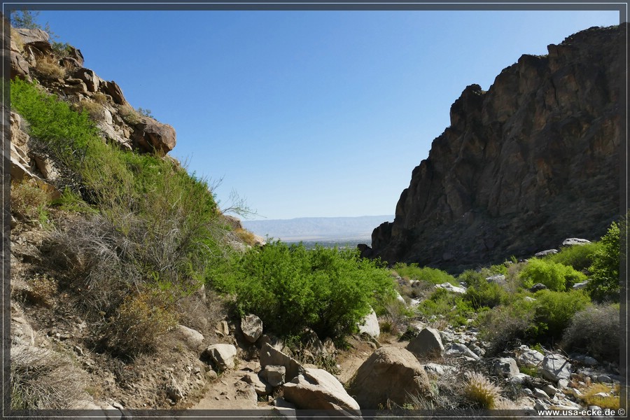 Tahquitz_Canyon_2024_018