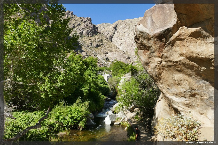 Tahquitz_Canyon_2024_019