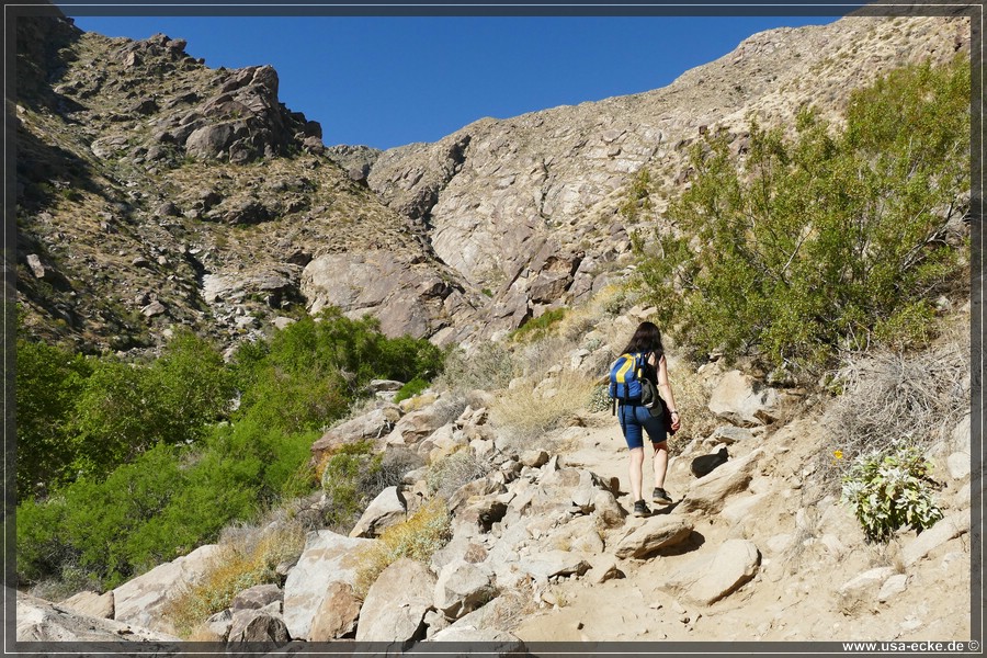 Tahquitz_Canyon_2024_022