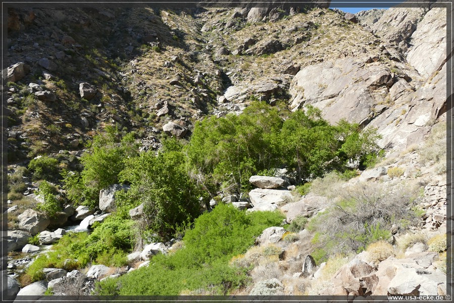Tahquitz_Canyon_2024_023