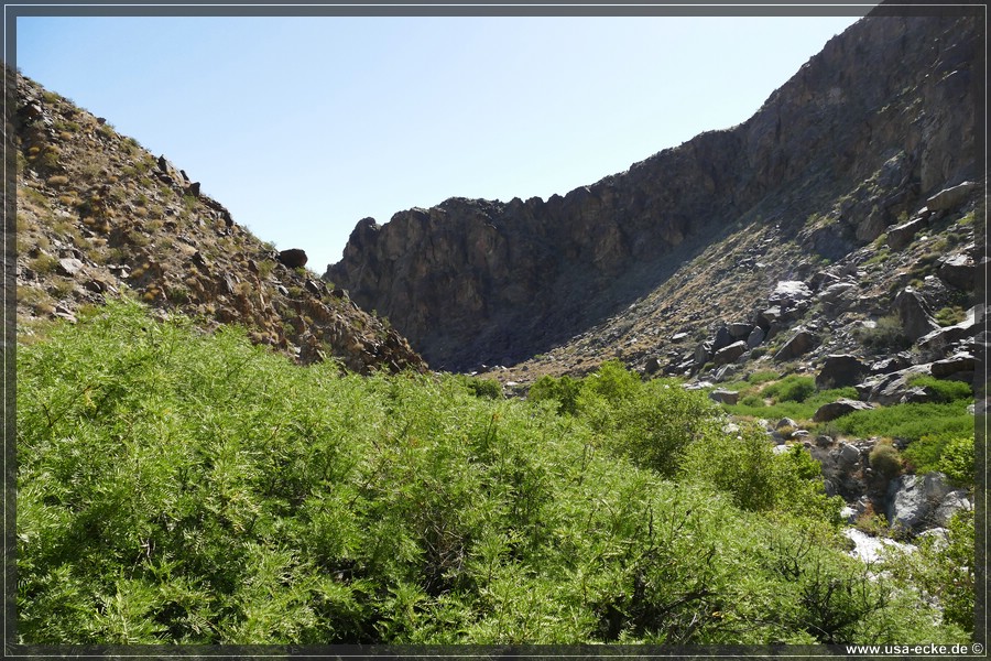 Tahquitz_Canyon_2024_024