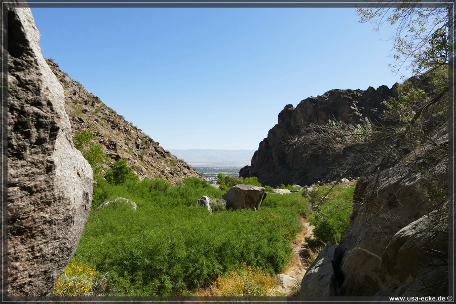 Tahquitz_Canyon_2024_037