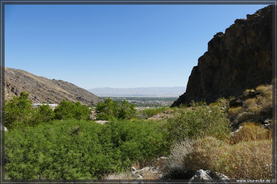 Tahquitz_Canyon_2024_038