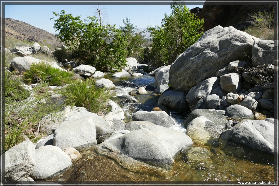 Tahquitz_Canyon_2024_045
