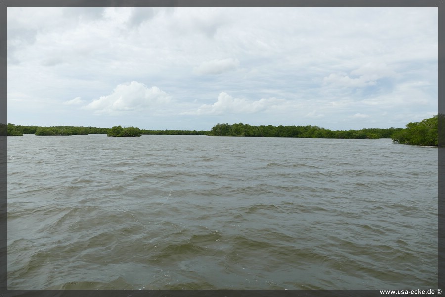 TenTousandIslands_2024_019