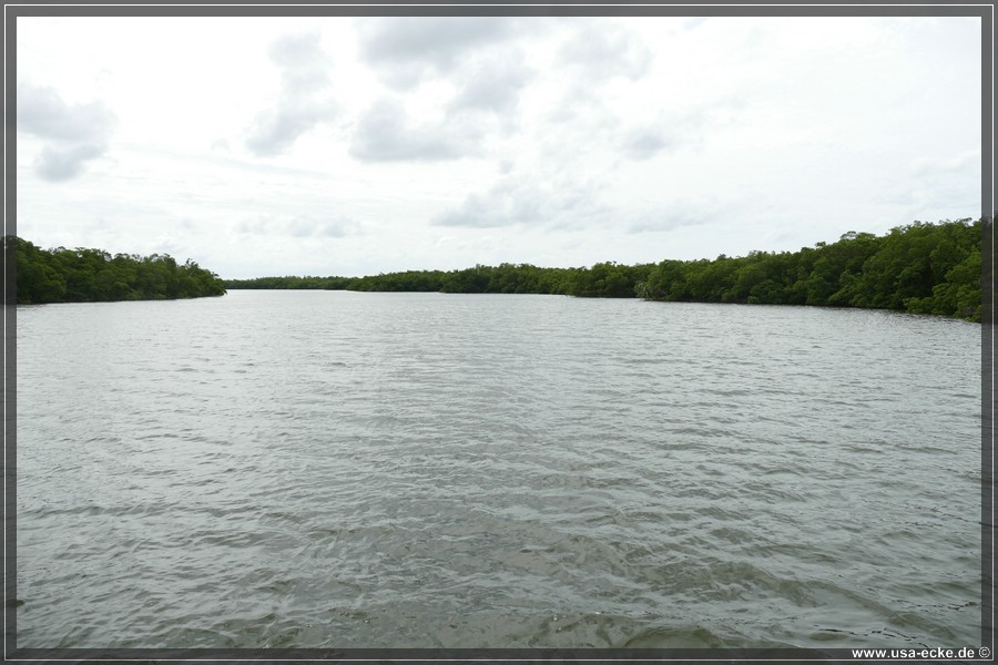 TenTousandIslands_2024_021