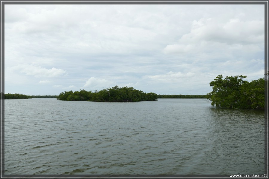 TenTousandIslands_2024_022