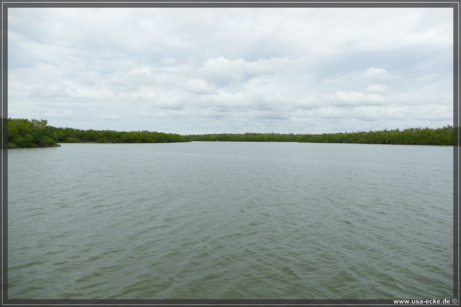 TenTousandIslands_2024_027