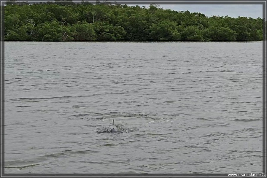 TenTousandIslands_2024_028
