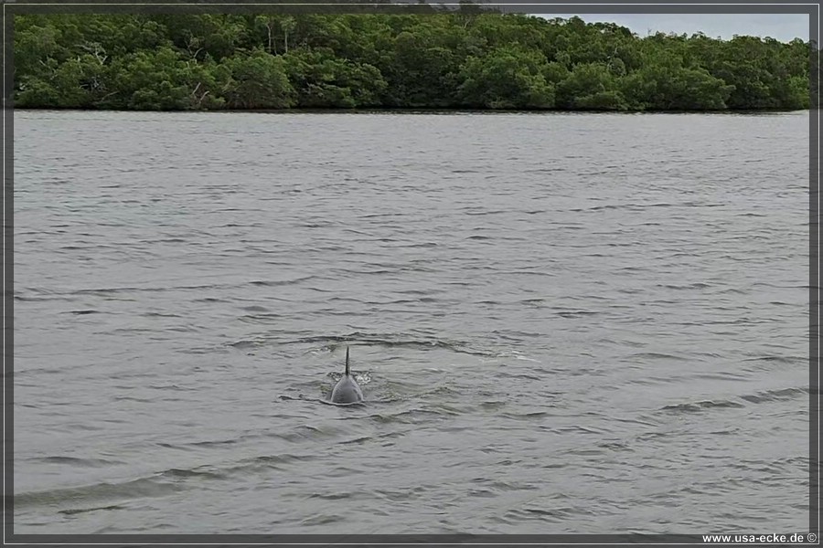 TenTousandIslands_2024_029