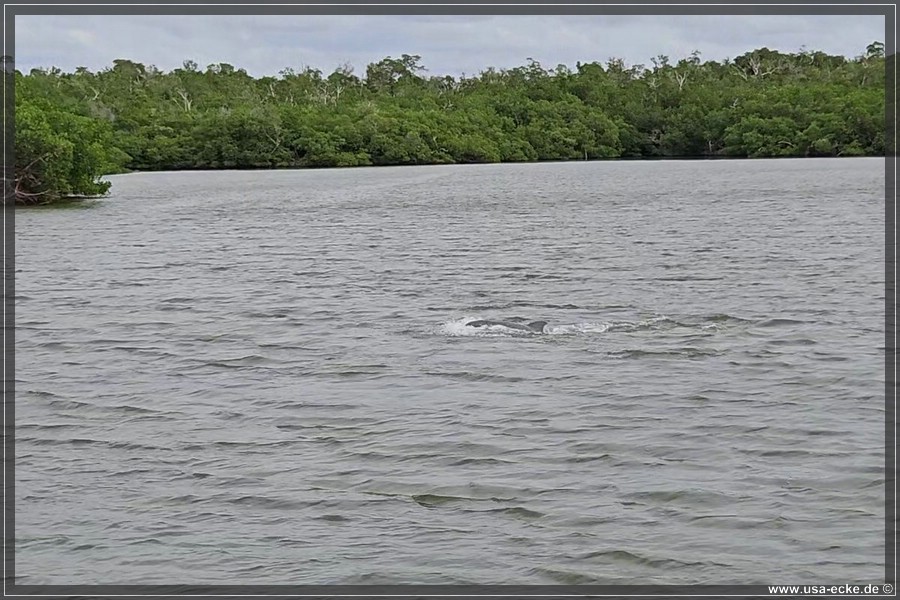 TenTousandIslands_2024_030
